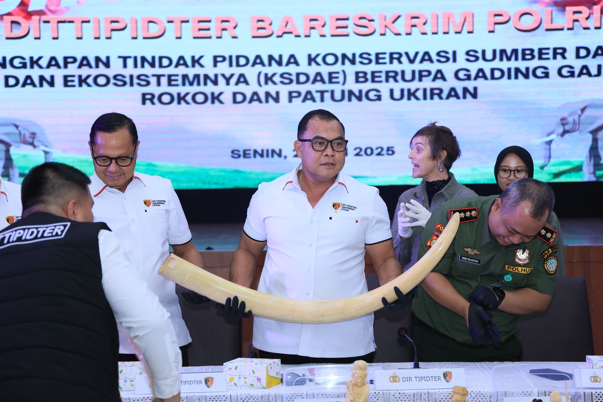 Polri Tetapkan 4 Tersangka Penjualan Gading Gajah, Seperi Apa Mereka Menjalankan Aksinya?