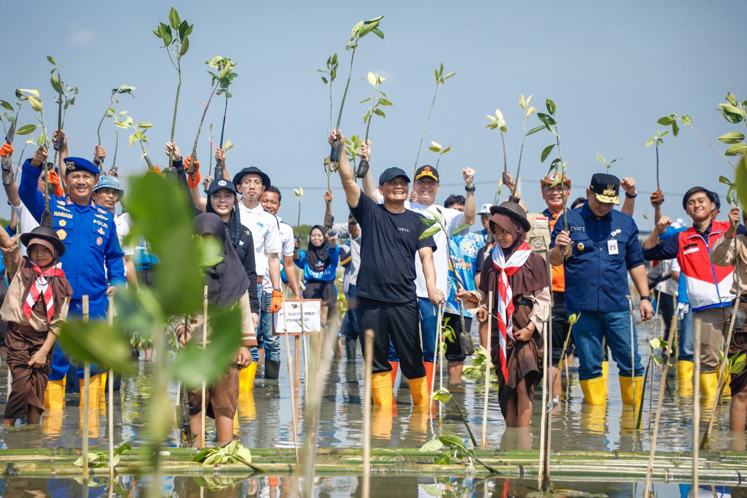 Lindungi Wilayah Pesisir, Targetkan Tanam 1,5 Juta Mangrove