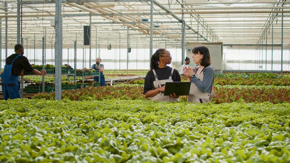 Industri Agro Punya Potensi Besar, Tapi Daya Saing Masih Lemah