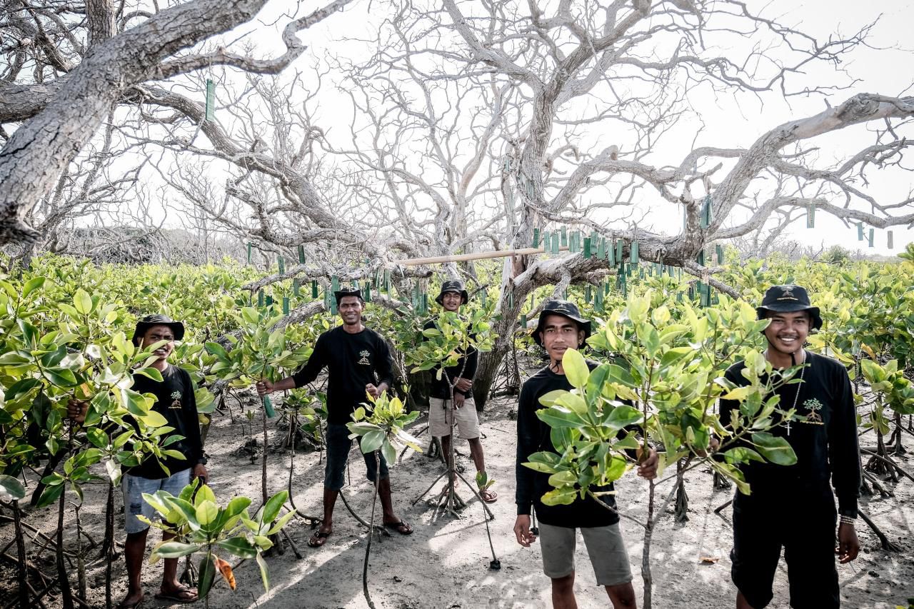 Green Tourism di Indonesia Menjadi Hal Penting