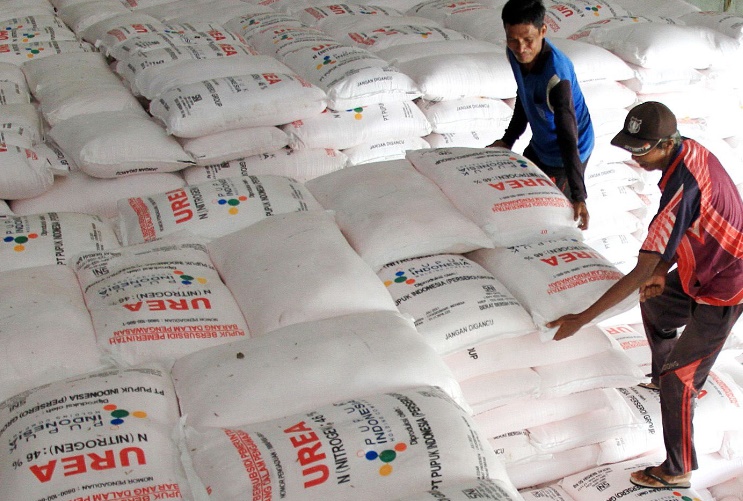 Pupuk Bersubsidi Jantung Produktivitas Nasional 