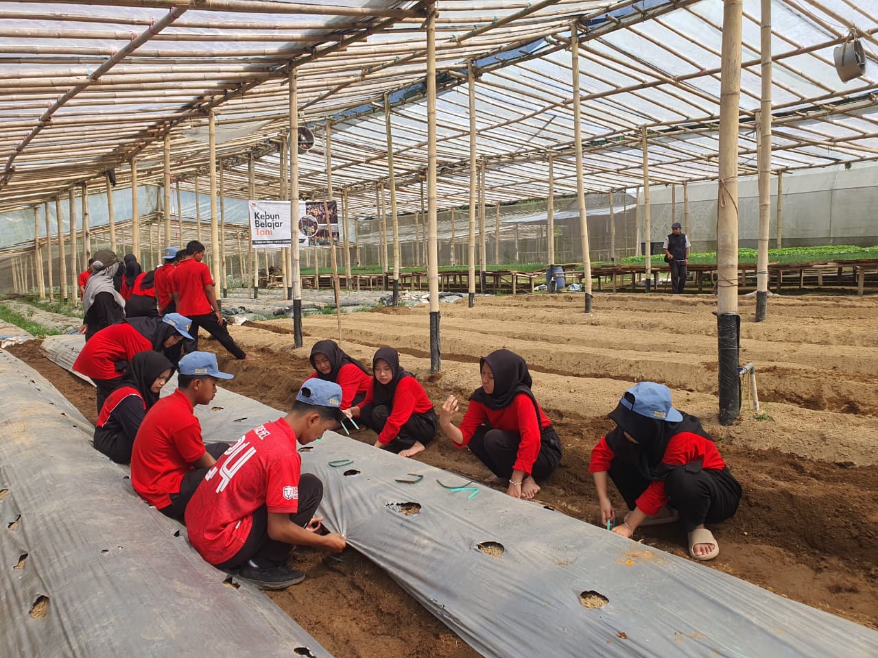 Kebun Belajar, Tumbuhkan Cinta Bertani Generasi Muda