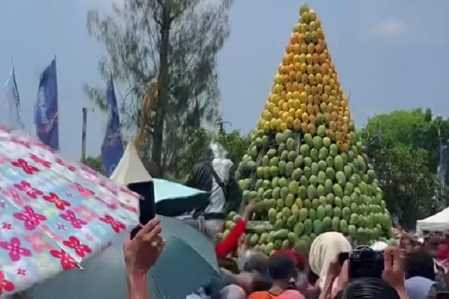 Festival Mangga Pemalang Tumbuhkan Ekonomi Kreatif