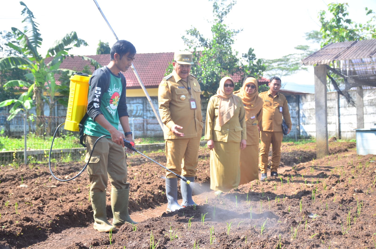 Salatiga Kembangkan Penanaman Padi Kering dan Sorgum