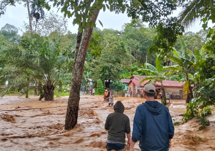 Update 3 Desember: 770 Jiwa Meninggal, 463 Hilang
