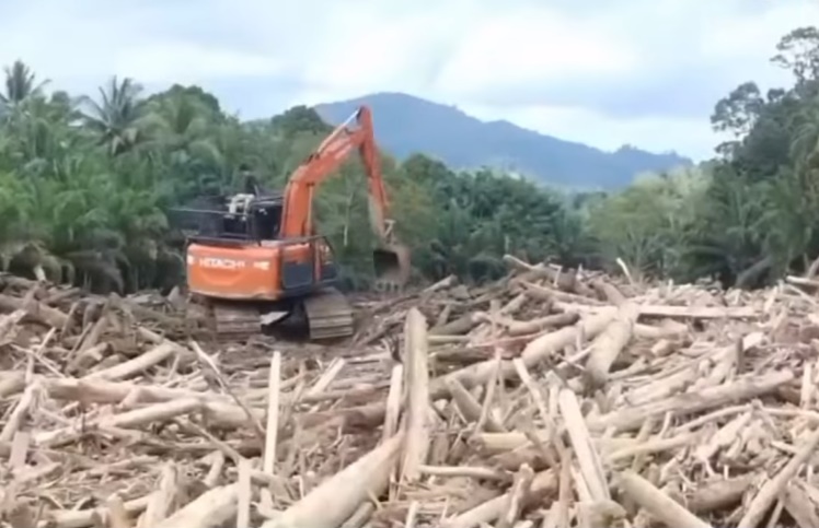Pemanfaatan Kayu Banjir Sumatra Butuh Payung Hukum
