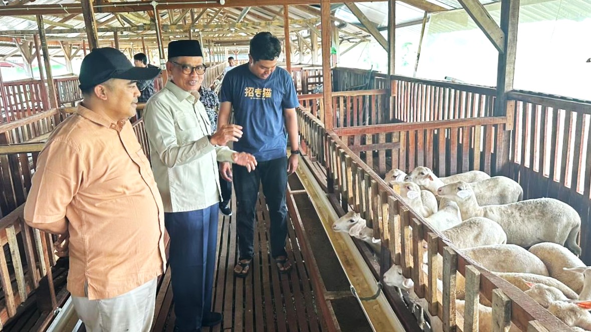 Sektor Peternakan Masih Strategis di Tengah Era Disrupsi Ekonomi