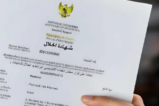 Benahi Tata Kelola Halal Nasional, Perkuat Basis Data