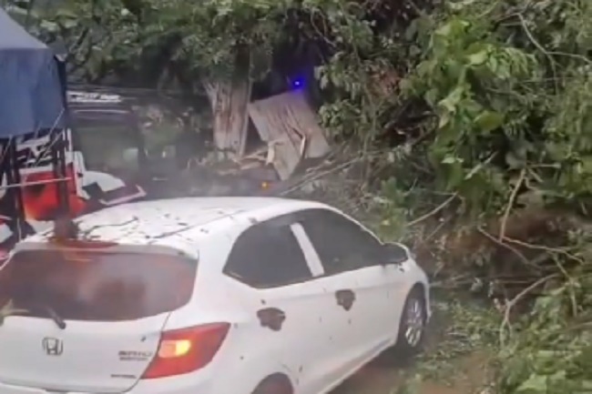 Jalur Pantura Batang Lumpuh Total, Pohon Bertumbangan