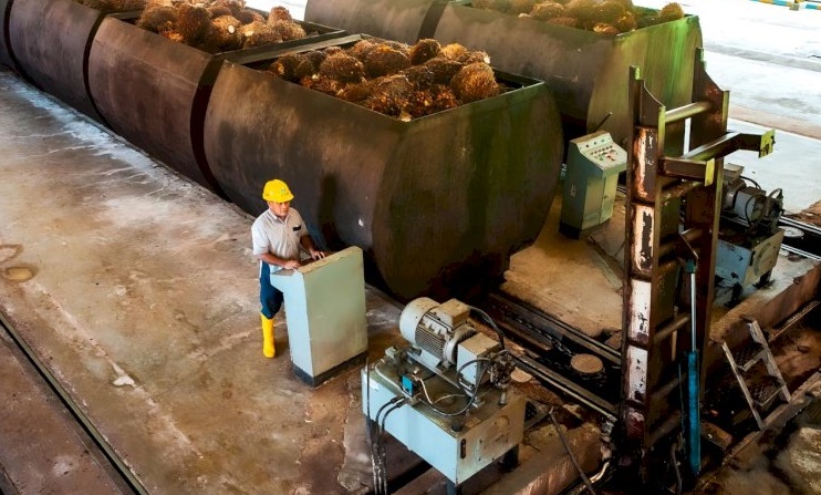 Dorong Akselerasi Bioenergi Sawit Hadapi Krisis Energi