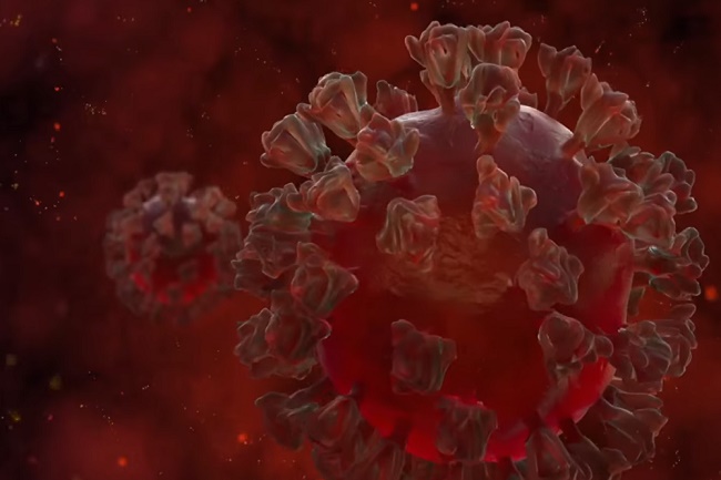 Heboh Lagi! Ada Varian Covid-19 Cicada