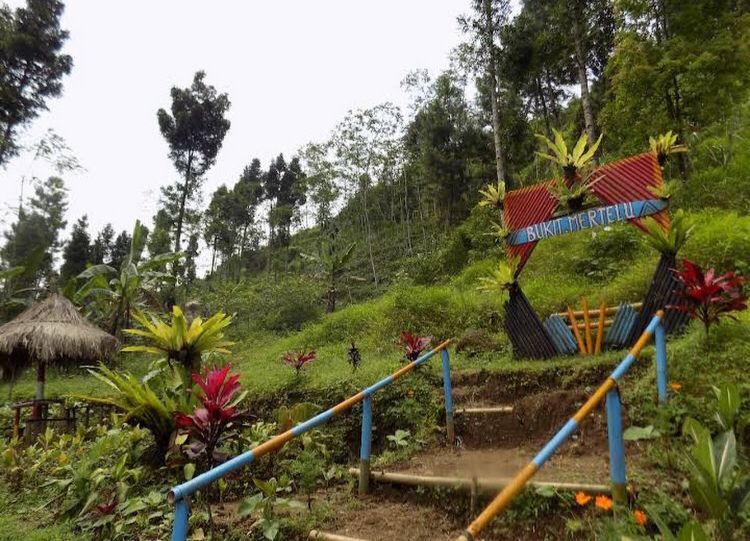 Kapasitas Pengelola Desa Wisata Perlu Ditingkatkan