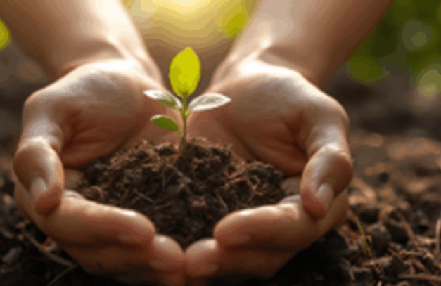 Bawa Gagasan Ekoteologi ke Panggung Dunia, Dorong Harmoni Manusia dan Alam