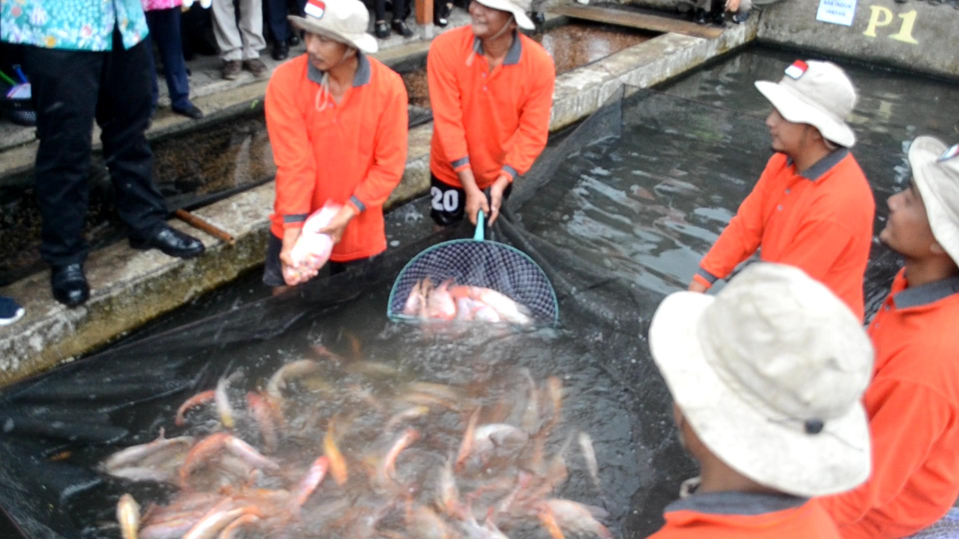 Bidik Perikanan Jadi Tulang Punggung MBG