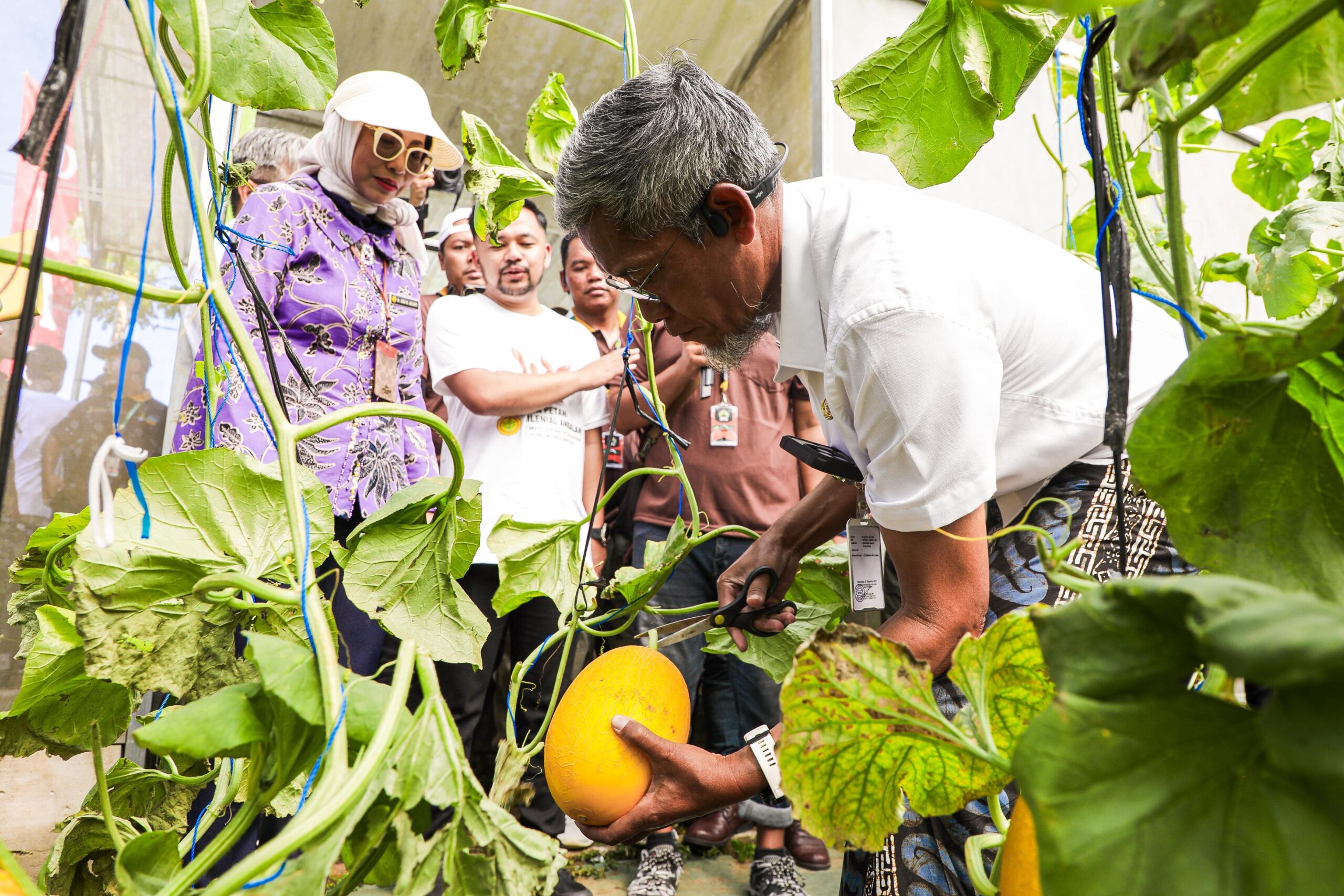 Jaga Ketahanan Pangan, Perkuat Regenerasi Petani dan Inovasi