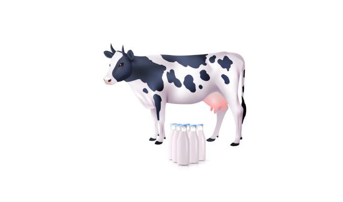 Tingkatkan Produksi Susu, Negara Harus Hadir