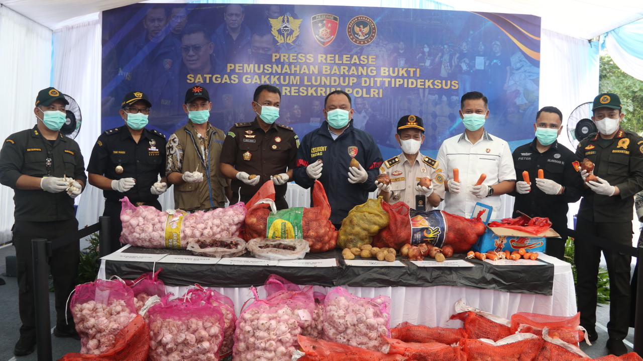 Ribuan Kilogram Bawang Impor Ilegal Dimusnaskah