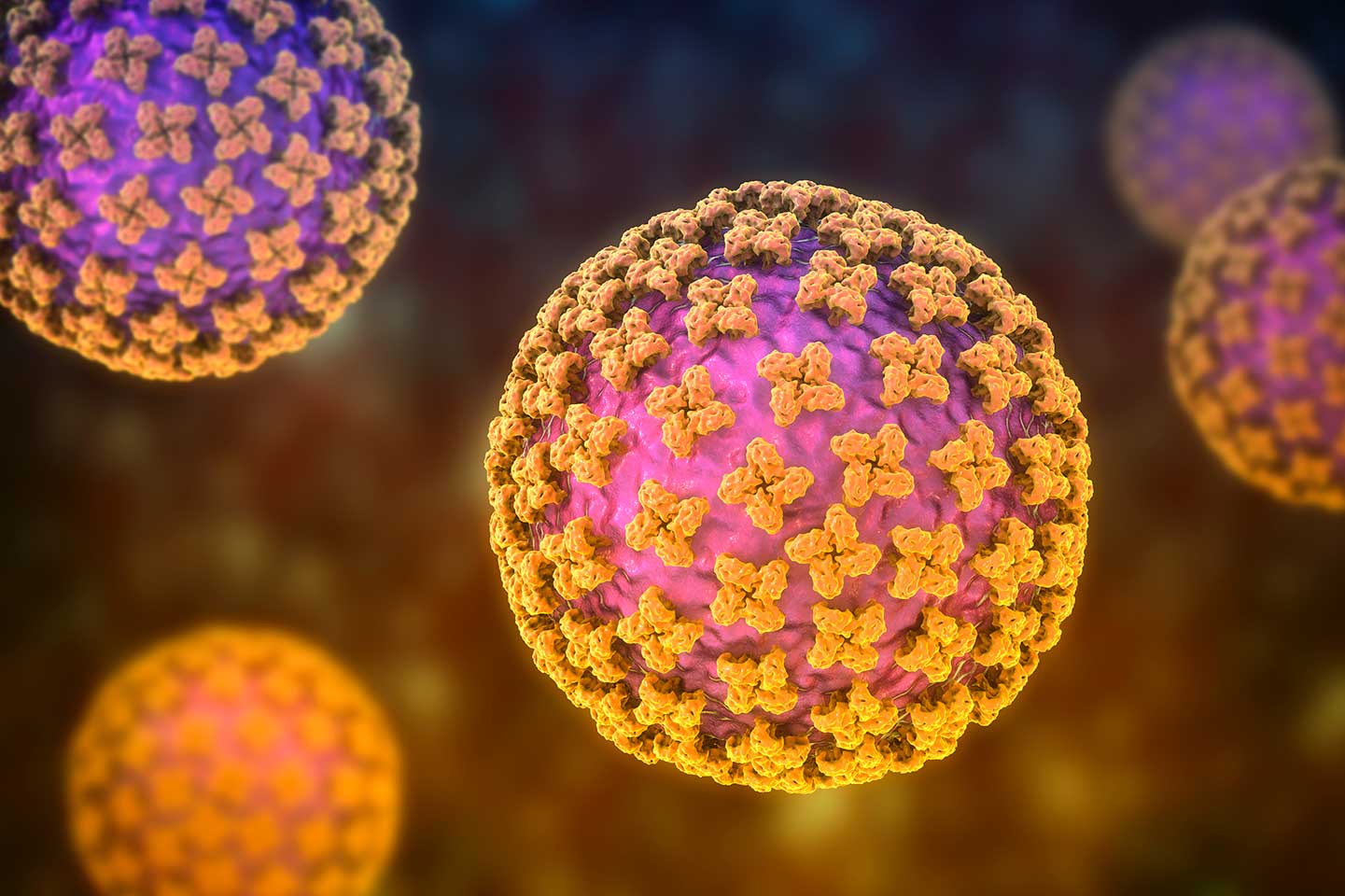 Ancaman Hantavirus, Layanan Kesehatan Daerah Harus Siap