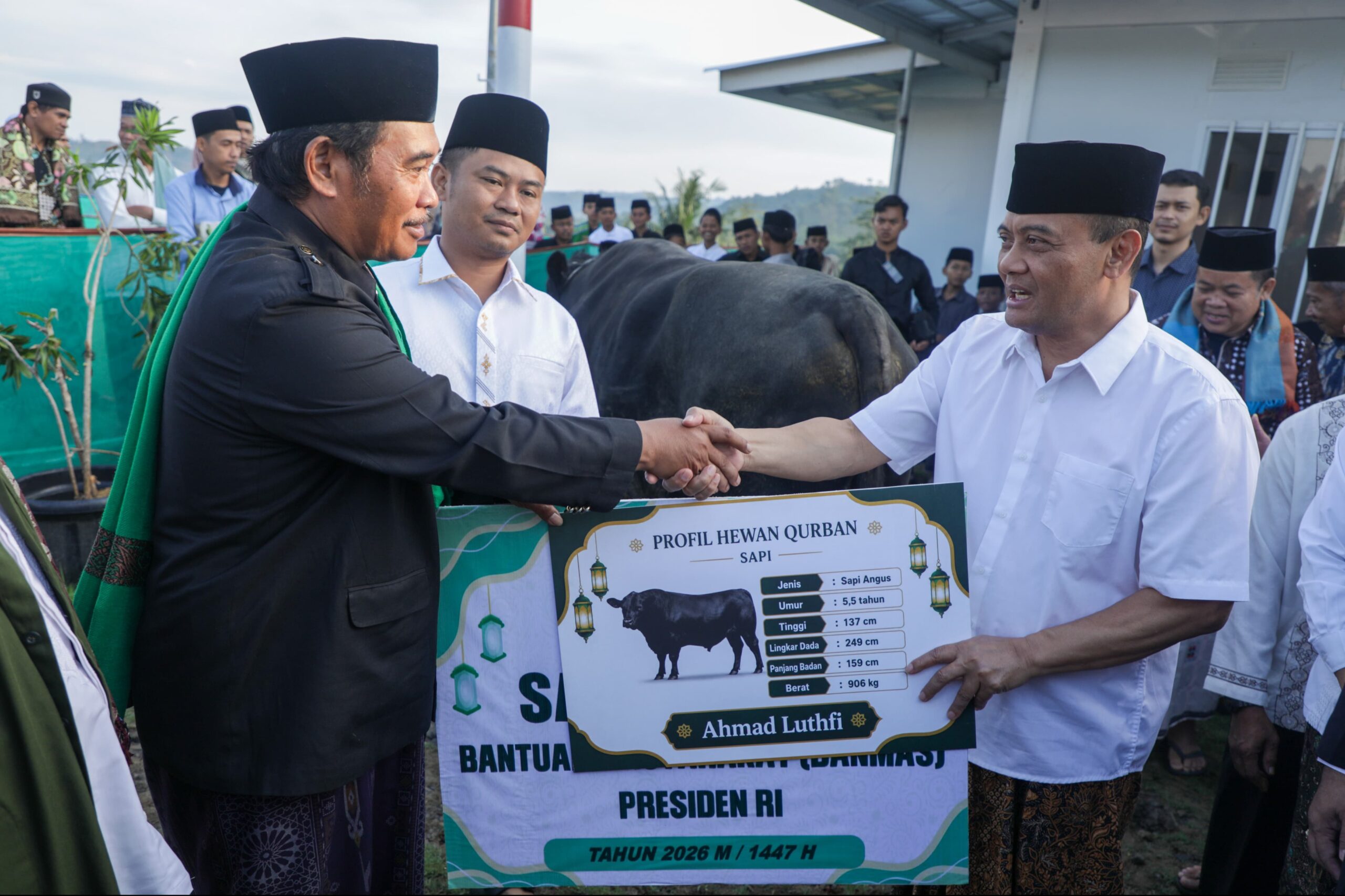 Gubernur Salat Id Bareng Pengungsi, Serahkan Sapi 906 Kg