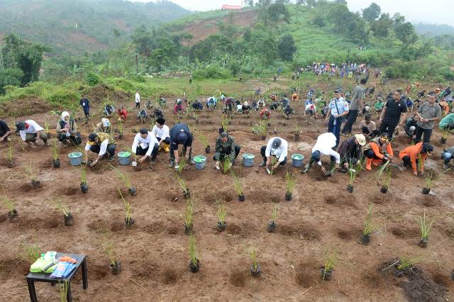 Rehabilitasi Lahan Kritis Perlu Dilakukan Sistematis