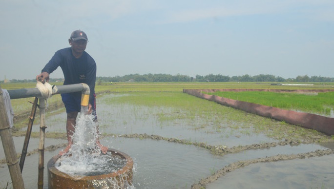 Siapkan Sumur Bor di Kantong Pertanian