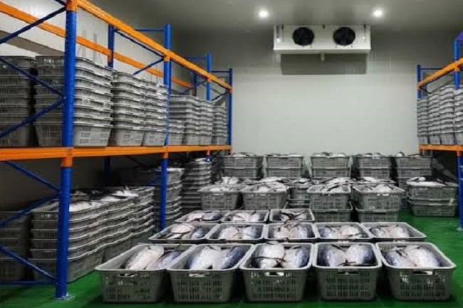 Pelabuhan Cilacap Perlu Dilengkapi Cold Storage
