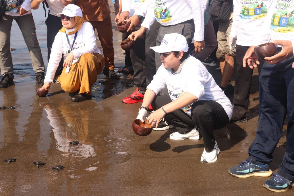 Lepas Tukik dan Aksi Bersih Pantai di Peringatan Hari Bebas Kantong Plastik Sedunia 