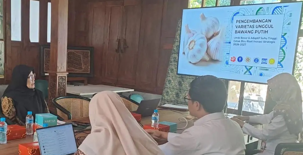 BRIN dan UGM Kembangkan Teknologi Benih Bawang Putih Sehat