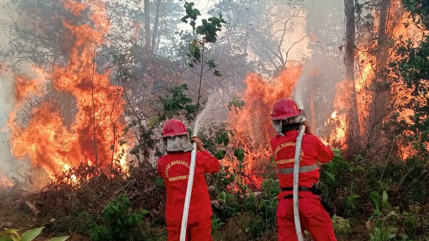 Penegakan Hukum Karhutla Harus Beri Efek Jera