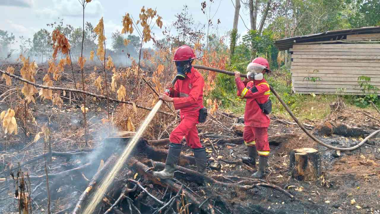 Pemerintah Didesak Tetapkan Karhutla Kalimantan Sebagai Bencana Nasional