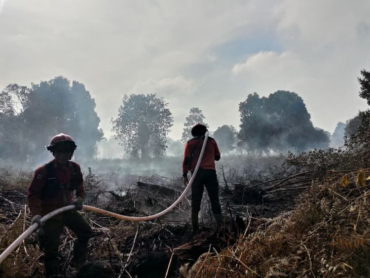 Atasi Karhutla, Daerah Diberi Ruang Penyesuaian