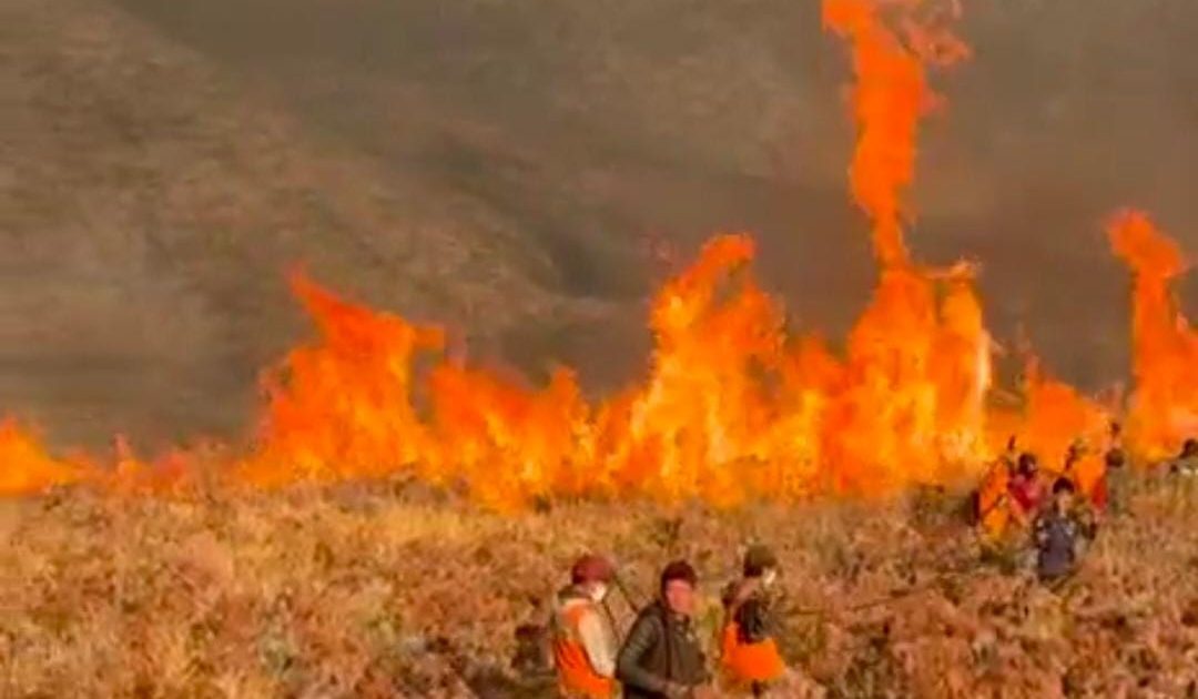 Kebakaran Meluas, TNBTS Tutup Total Wisata Gunung Bromo