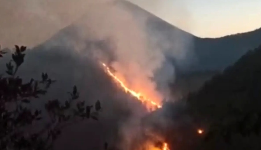 Kebakaran Hutan, Jalur Pendakian Gunung Semeru Ditutup