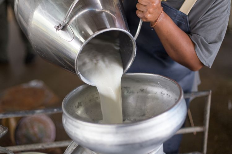 Kuatkan Koperasi Susu untuk Kedaulatan Gizi Nasional