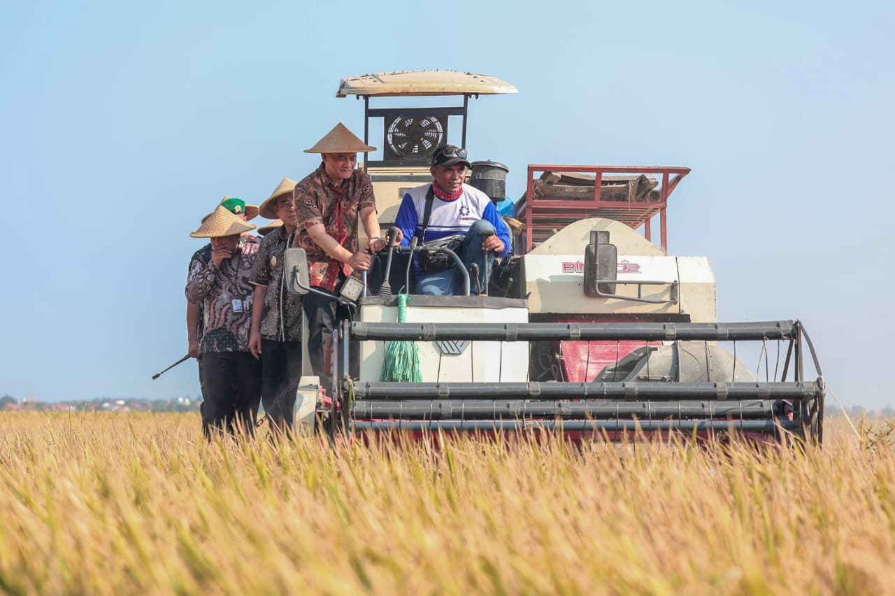 Antisipasi Dampak Puso, Siapkan Asuransi untuk Bentengi 10 Ribu Hektare Sawah