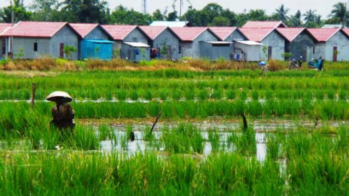 Butuh Komitmen Kuat Proteksi Lahan Sawah Dilindungi