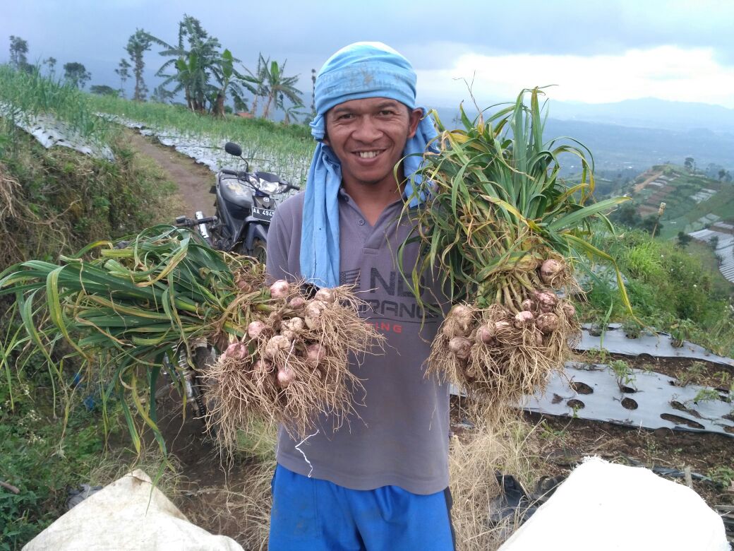 Terus Lindungi Produk Petani Lokal