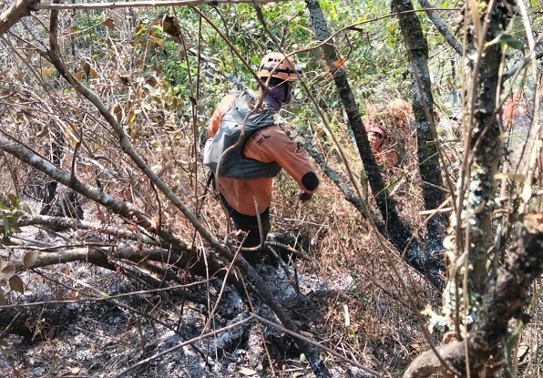 Pemadaman Karhutla Gunung Lawu dan Sumbing Terkendala Angin Kencang