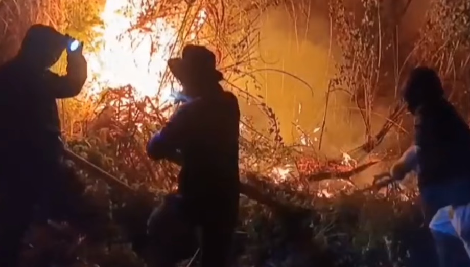 Pemprov Jatim Intensifkan Strategi Sekat Bakar Atasi Karhutla di Pegunungan