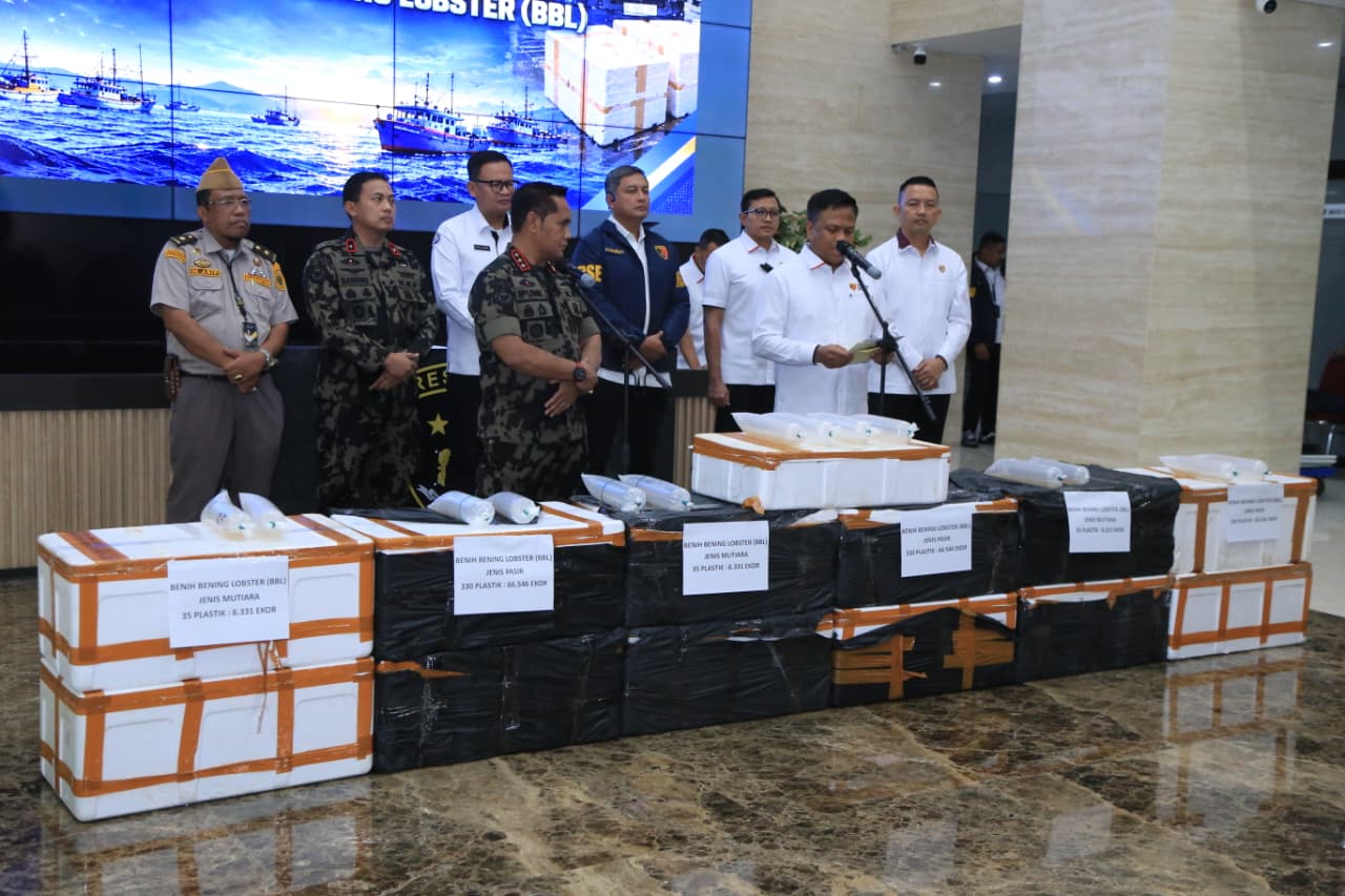 Bareskrim Ungkap Jaringan Penyelundupan Baby Lobster Lintas Negara