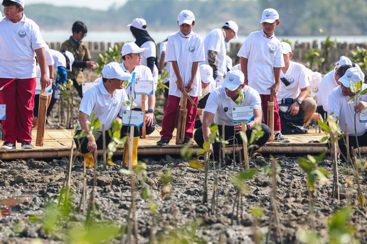 Atasi Abrasi Pantura, Tanam Mangrove Gunakan Teknologi HexBricks